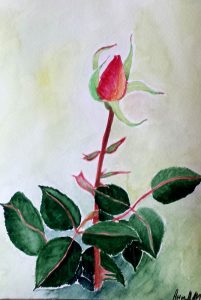 Rose/Роза-16.5x23.5 cm